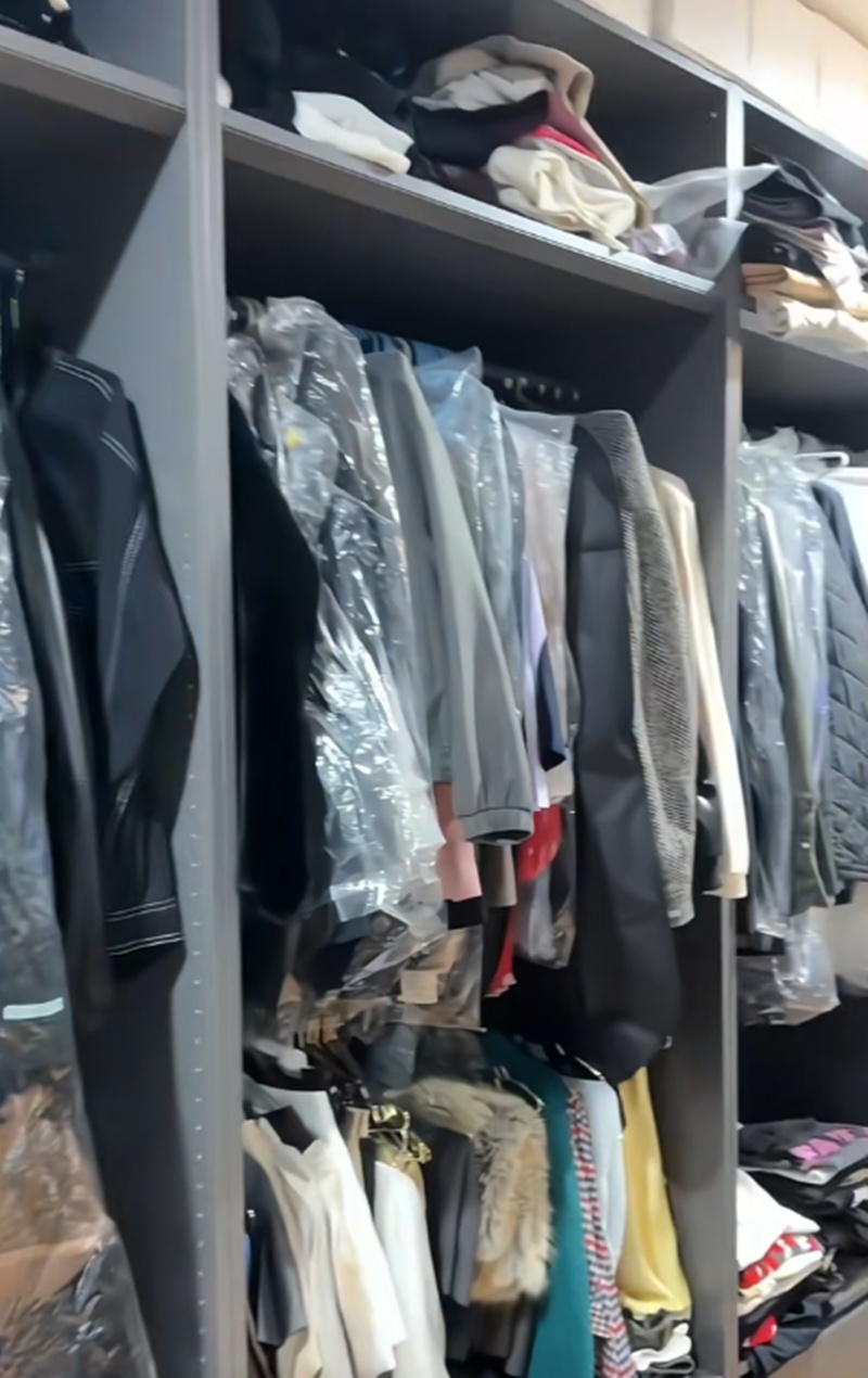 เจนิส เจณิสตา