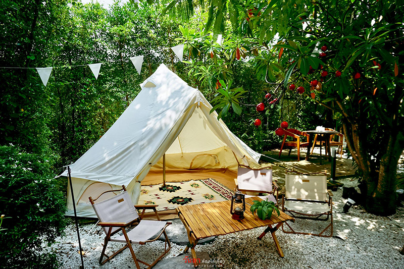 ร้านคาเฟ่ Google Trend