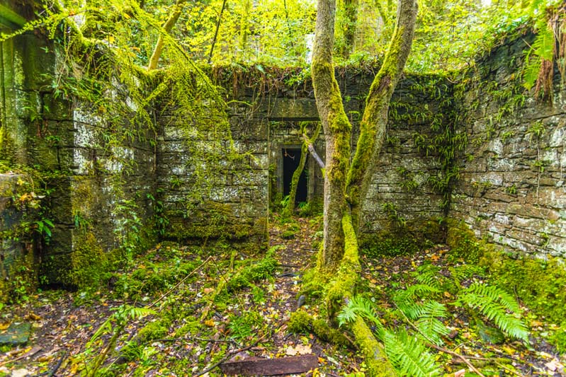 Buchanan Castle