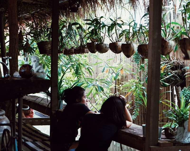 ร้านคาเฟ่ ธรรมชาติ