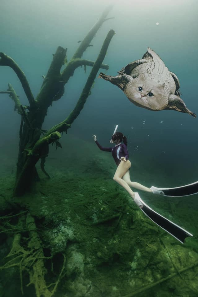 นักดำน้ำ