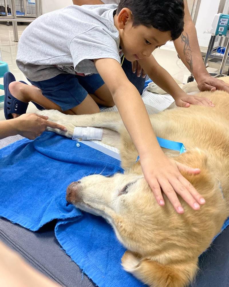 น้องภูดิศ ลูกป๋อ ณัฐวุฒิ เอ๋ พรทิพย์