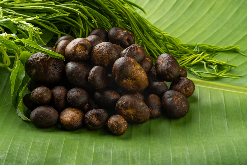 เห็ดเผาะ