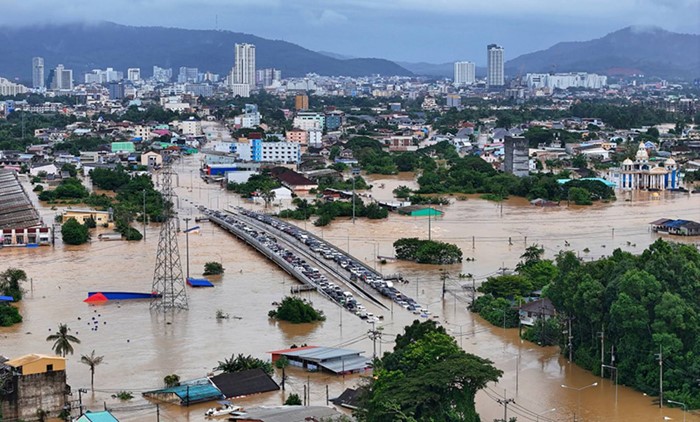 แมท ภีรนีย์ ฟาดรัฐบาลปมน้ำท่วมภาตใต้