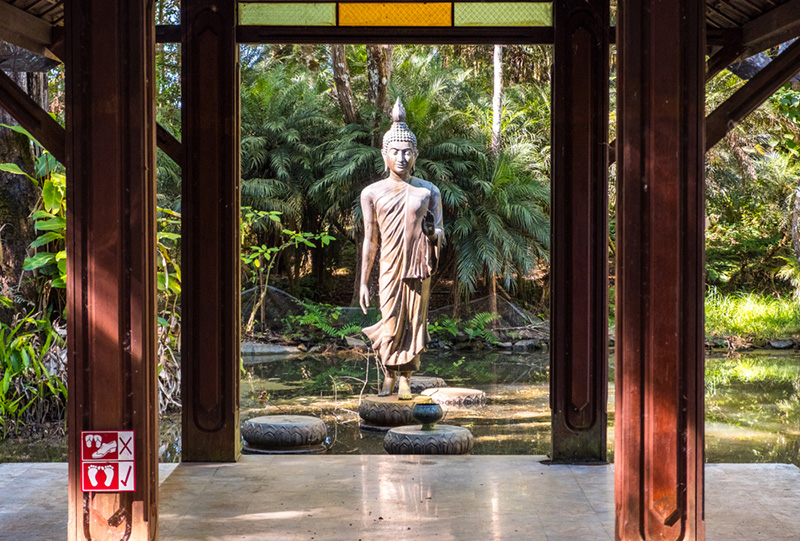 เที่ยวดอยช้าง