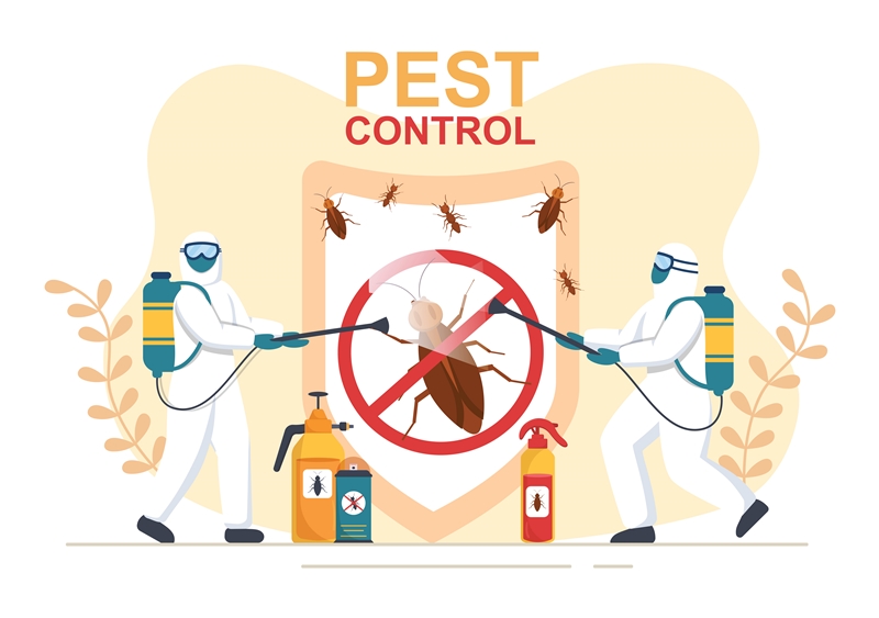 บริษัทกำจัดแมลง 