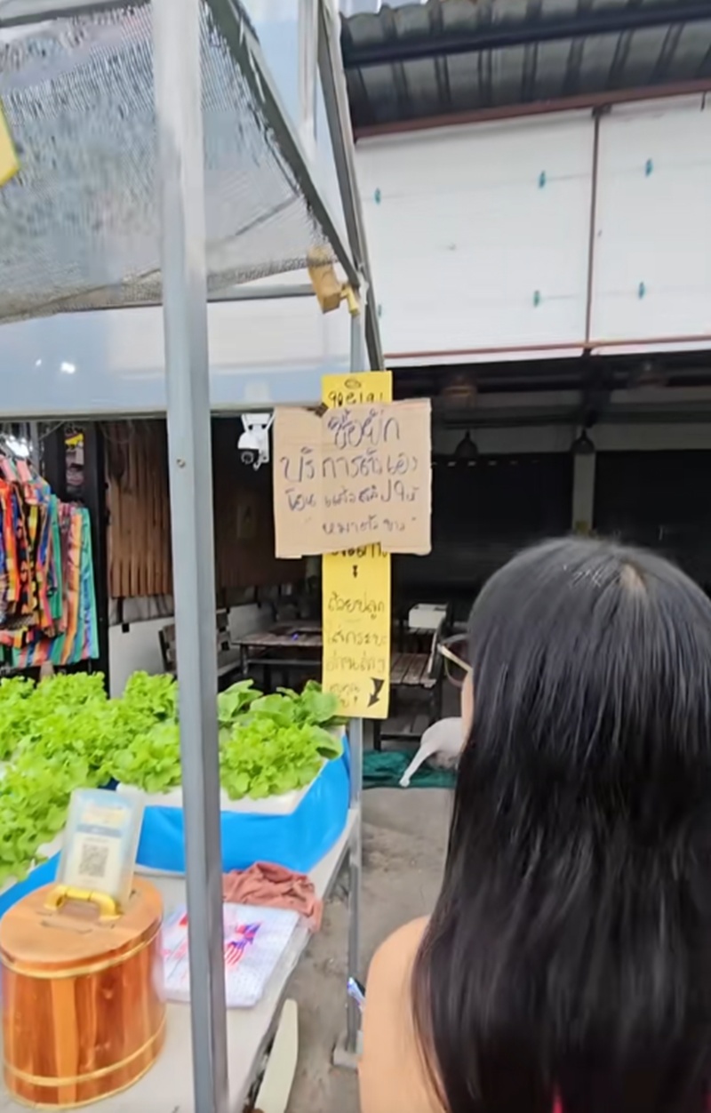 ขายผัก