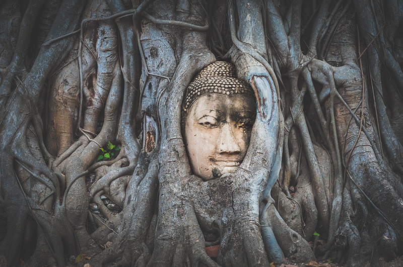 ไหว้พระ 9 วัดอยุธยา