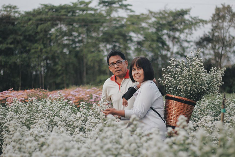 สวนดอกไม้สิทธิกร จ.อุดรธานี