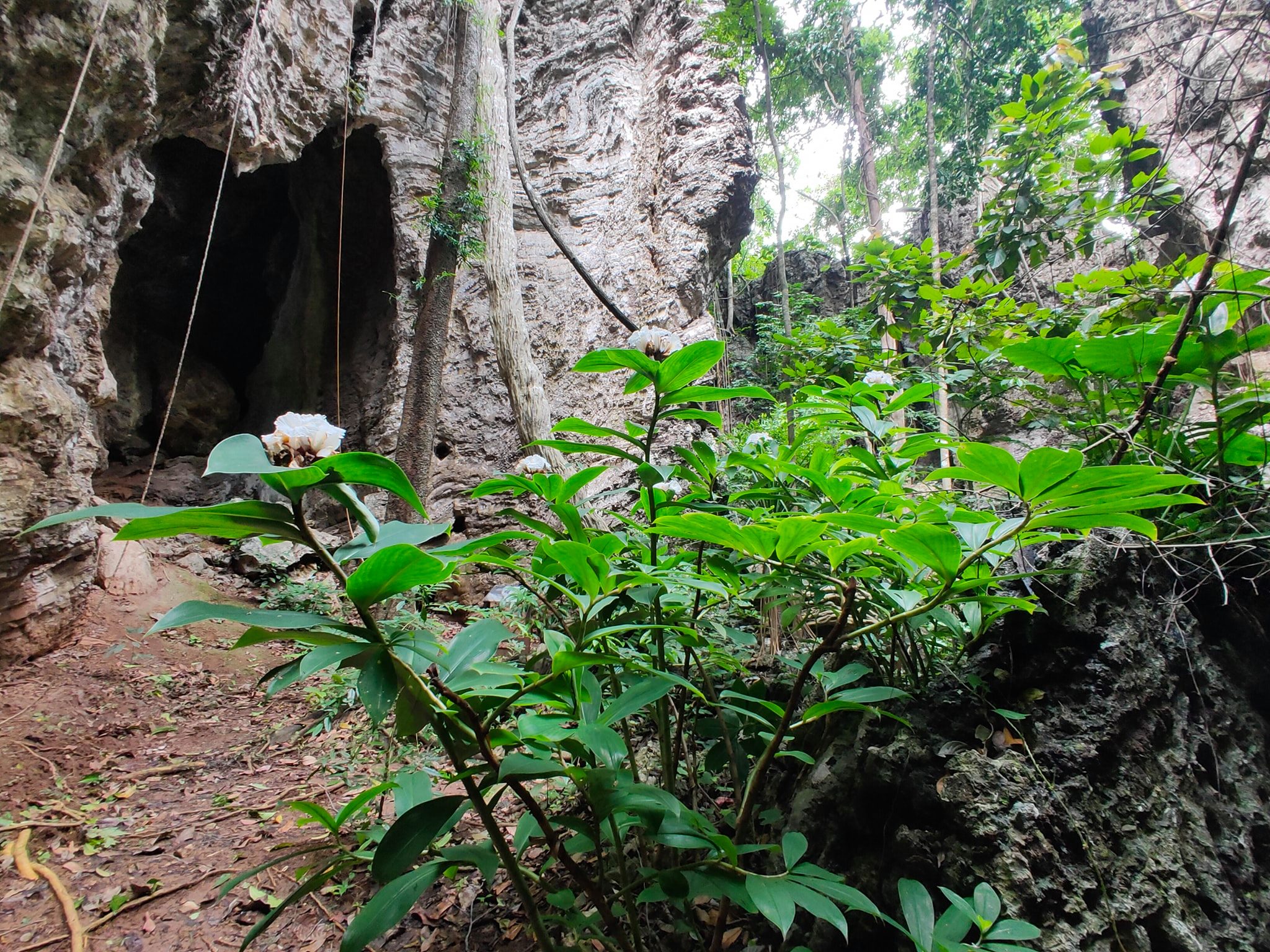 วัดถ้ำโพธิสัตว์