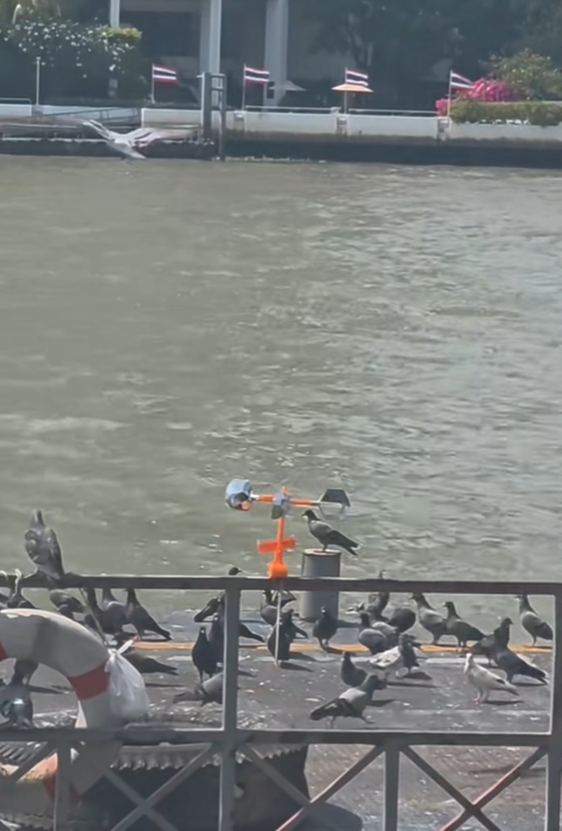 คริส หอวัง