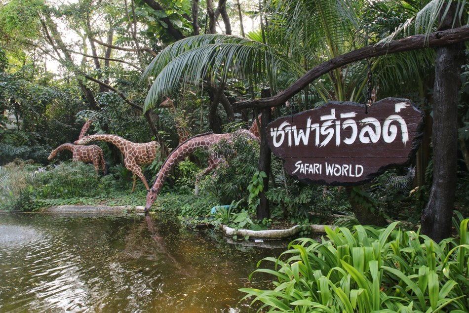 สวนสัตว์ซาฟารีเวิลด์ ที่เที่ยววาเลนไทน์