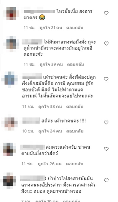 คอมเมนต์