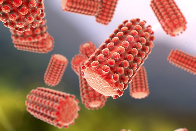ไวรัสเรบี่ส์ (Rabies Virus)