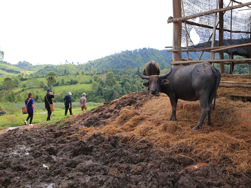 ที่เที่ยวเลย