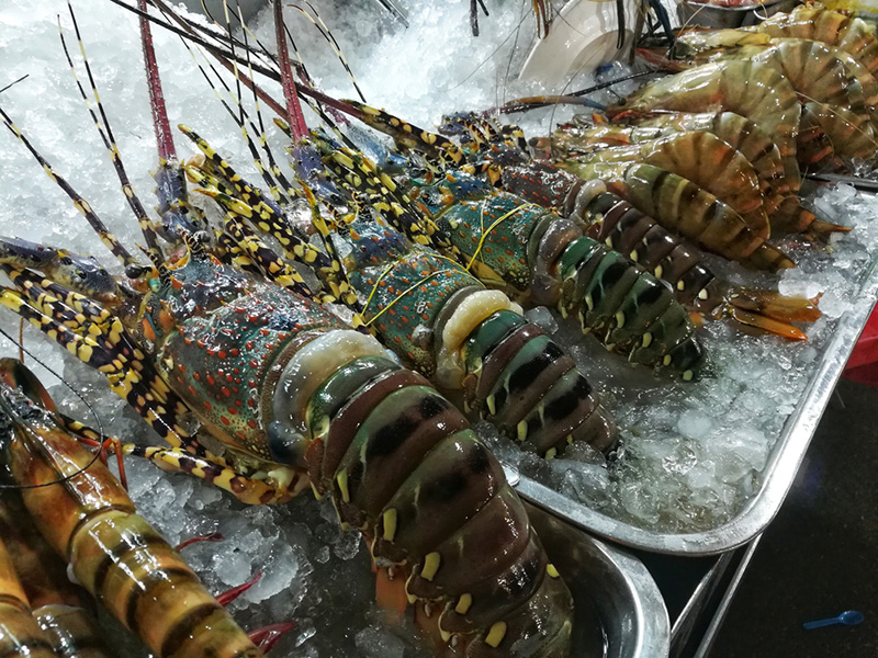 กุ้งมีกี่ชนิด