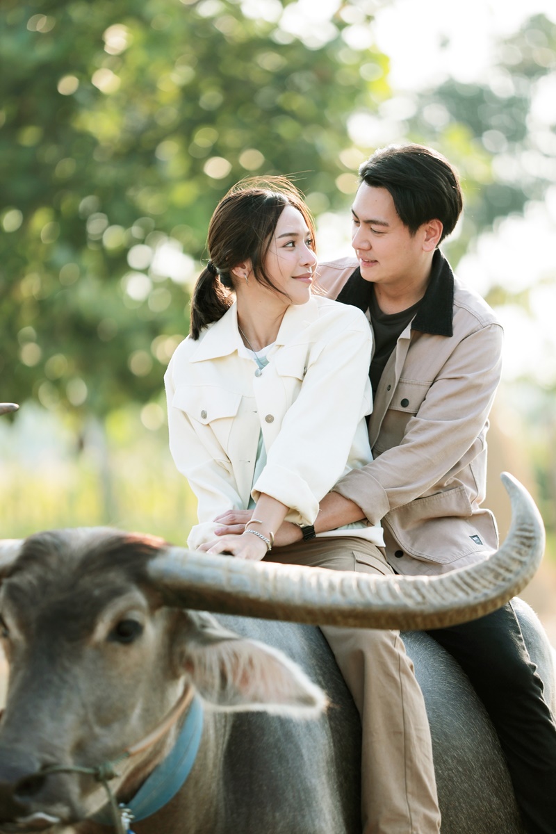 เลดี้ทุ่งกระบือบาล
