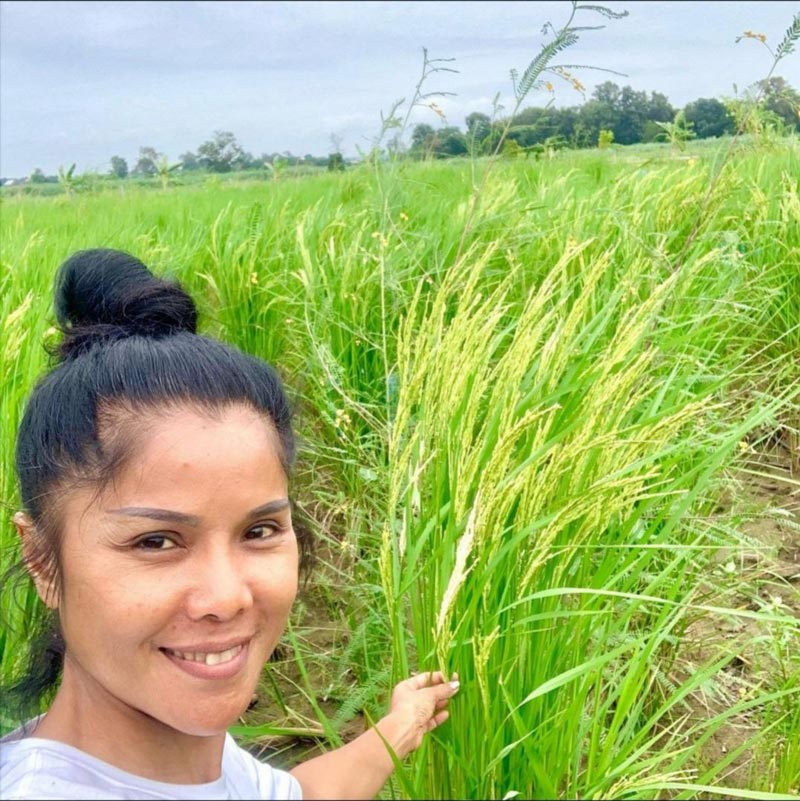 เจเน็ต เขียว