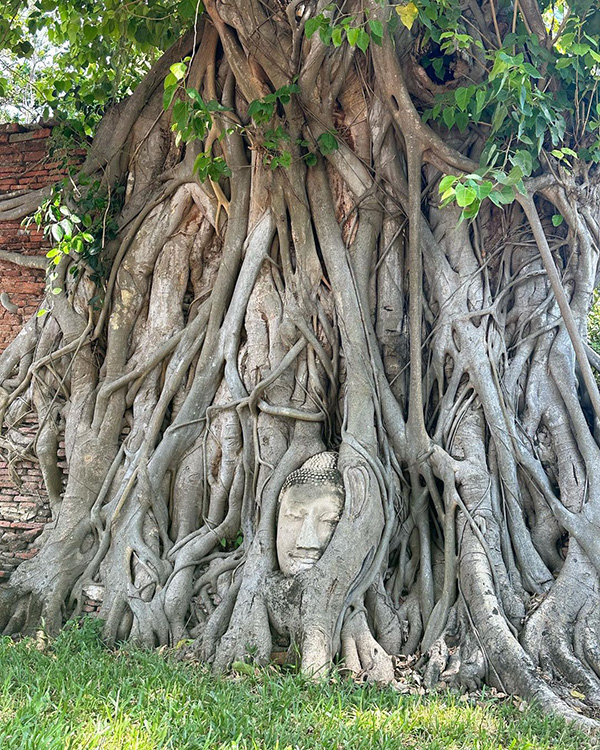 วัดอยุธยา