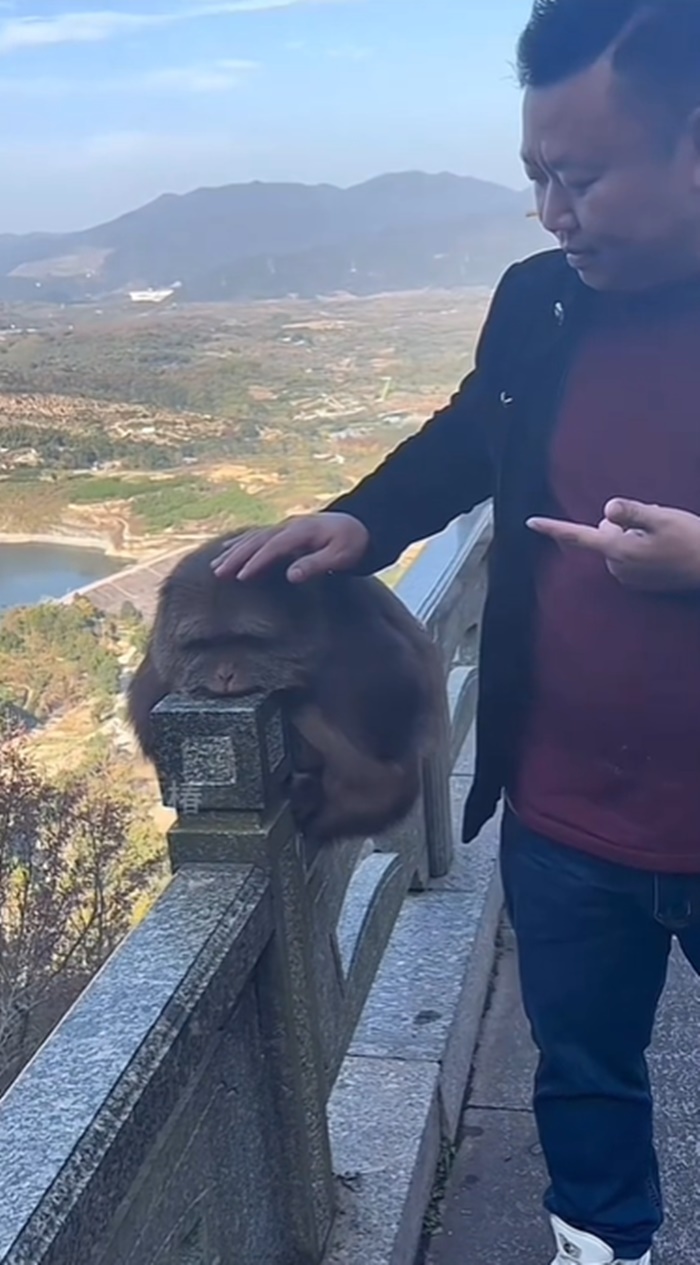 ลิงแกล้งคน