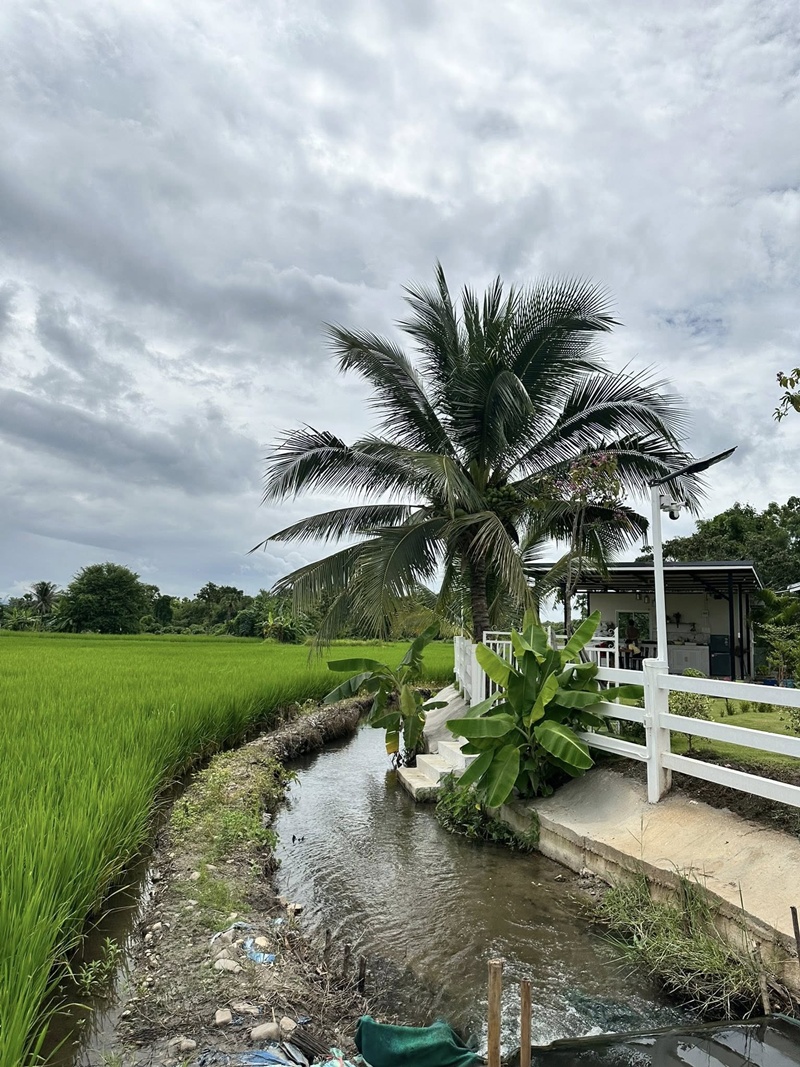 สร้างบ้าน