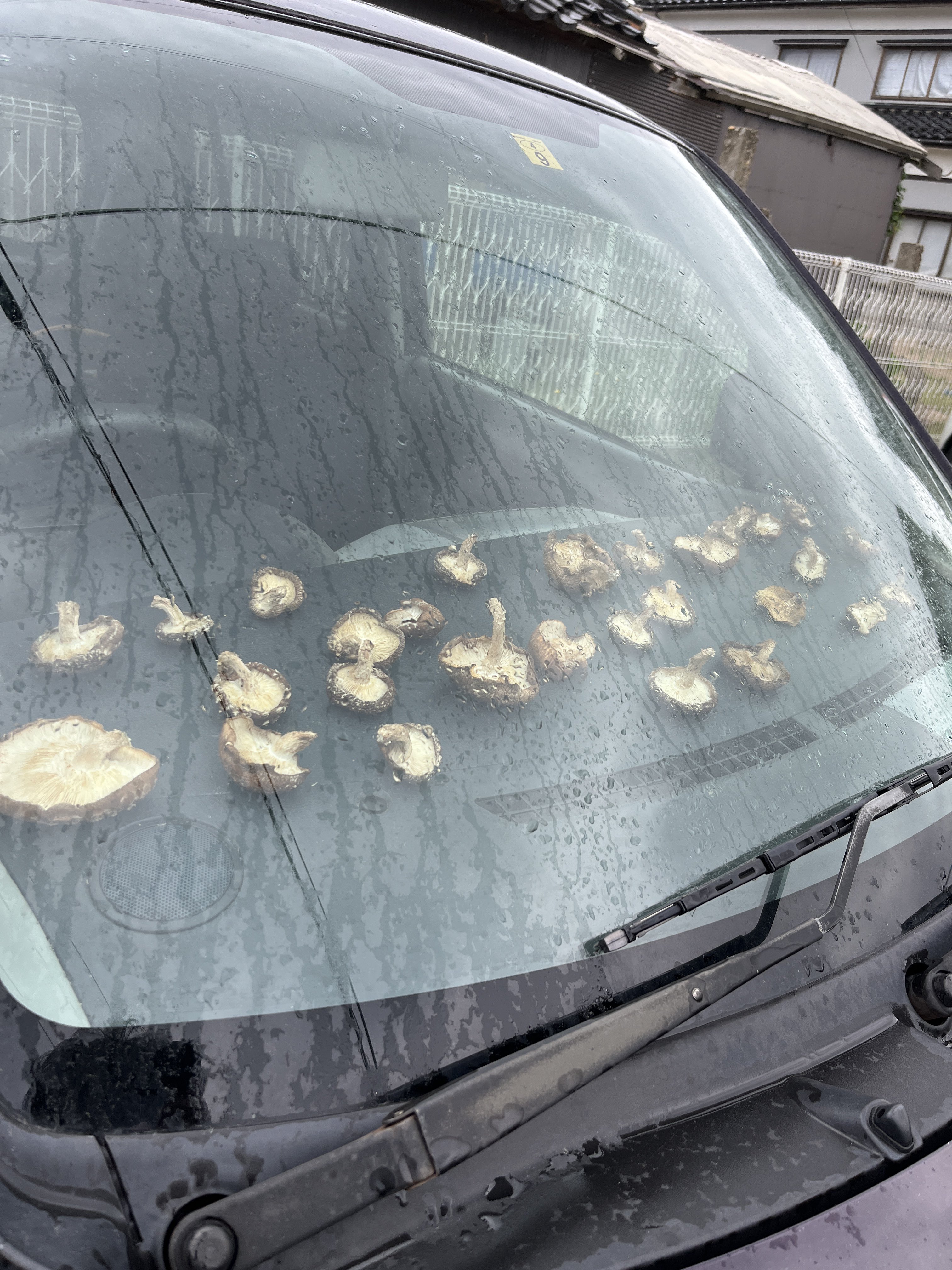 ตากเห็ดหอม