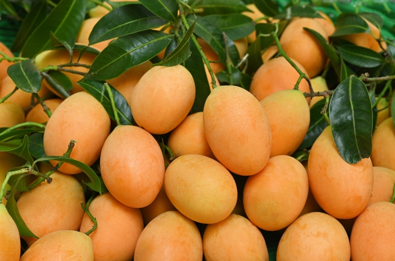 มะยงชิด