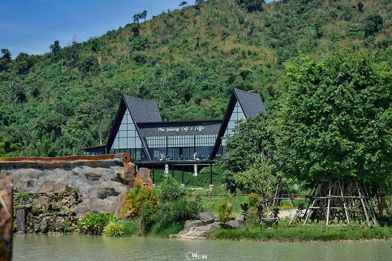 ร้านคาเฟ่ Google Trend