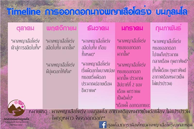 ภูลมโล 2563