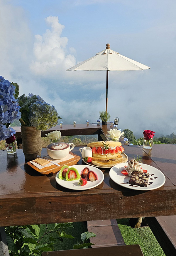 ร้านคาเฟ่บนดอย ยอดดอยม่อนแจ่ม