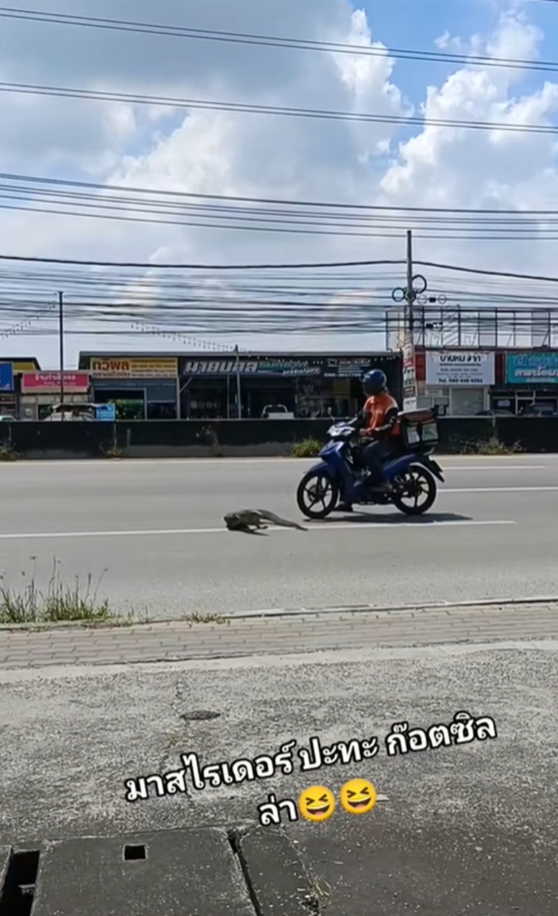 ตัวเงินตัวทอง