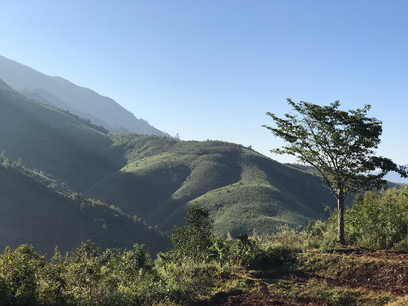 บ้านห้วยโทน