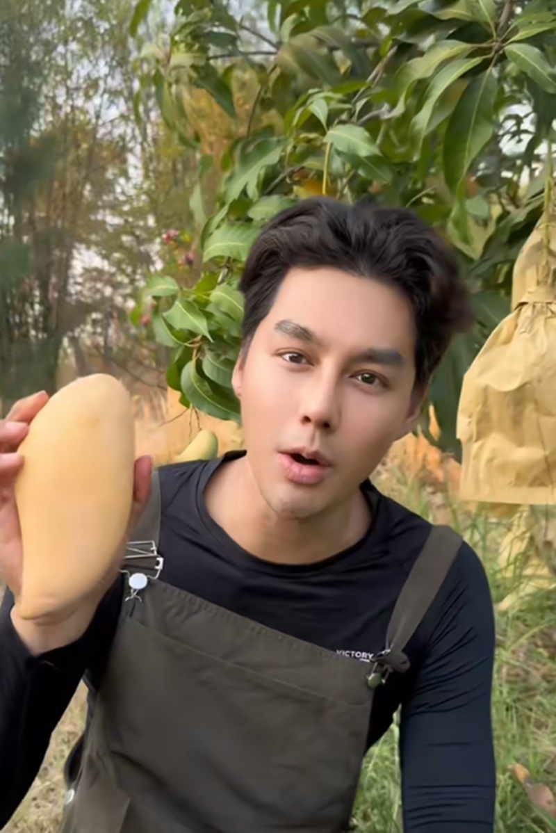 เพ็ชร ฐกฤต เปิดสวนมะม่วง