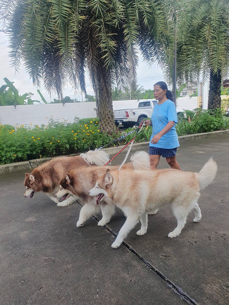 สุนารี พาหมาไปเดินเล่น แต่เจอแซะอวดรวย