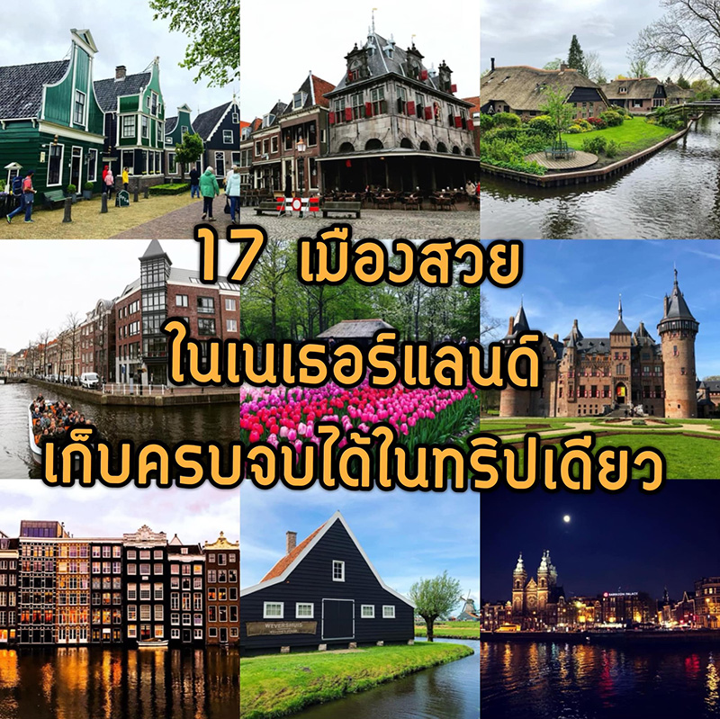 เนเธอร์แลนด์