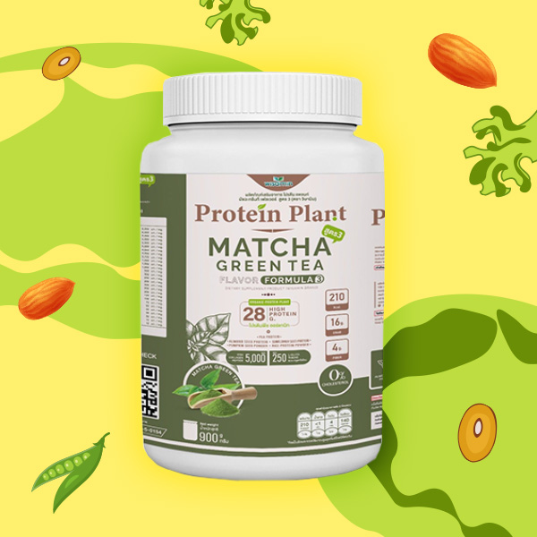 WISAMIN PROTEIN PLANT MATCHA GREEN FLAVOR FORMULA 3