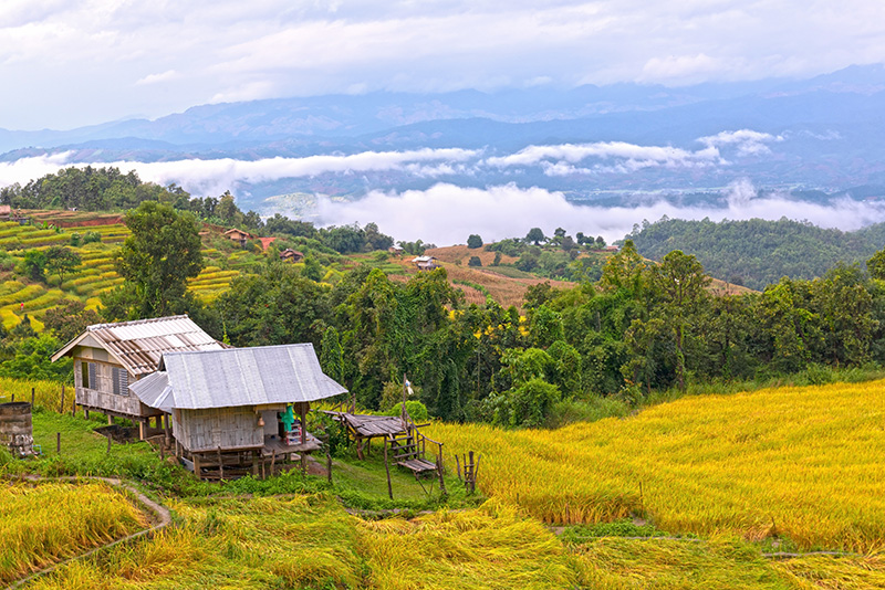 ที่เที่ยวเดือนตุลาคม 2568 บ้านป่าบงเปียง