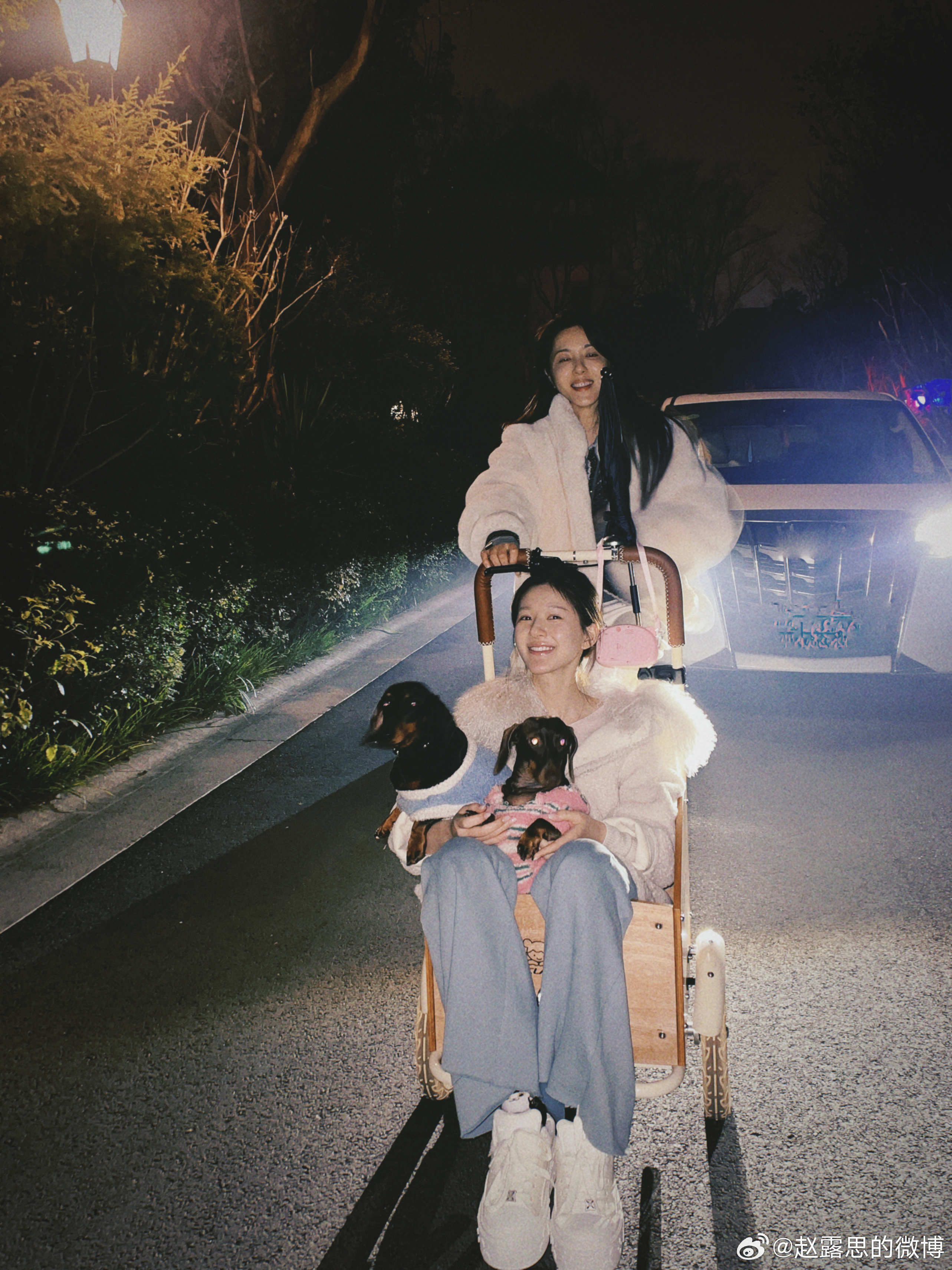 จ้าวลู่ซือ