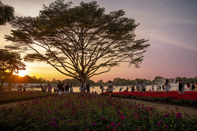 งานพรรณไม้งาม อร่ามสวนหลวง ร.9 2569