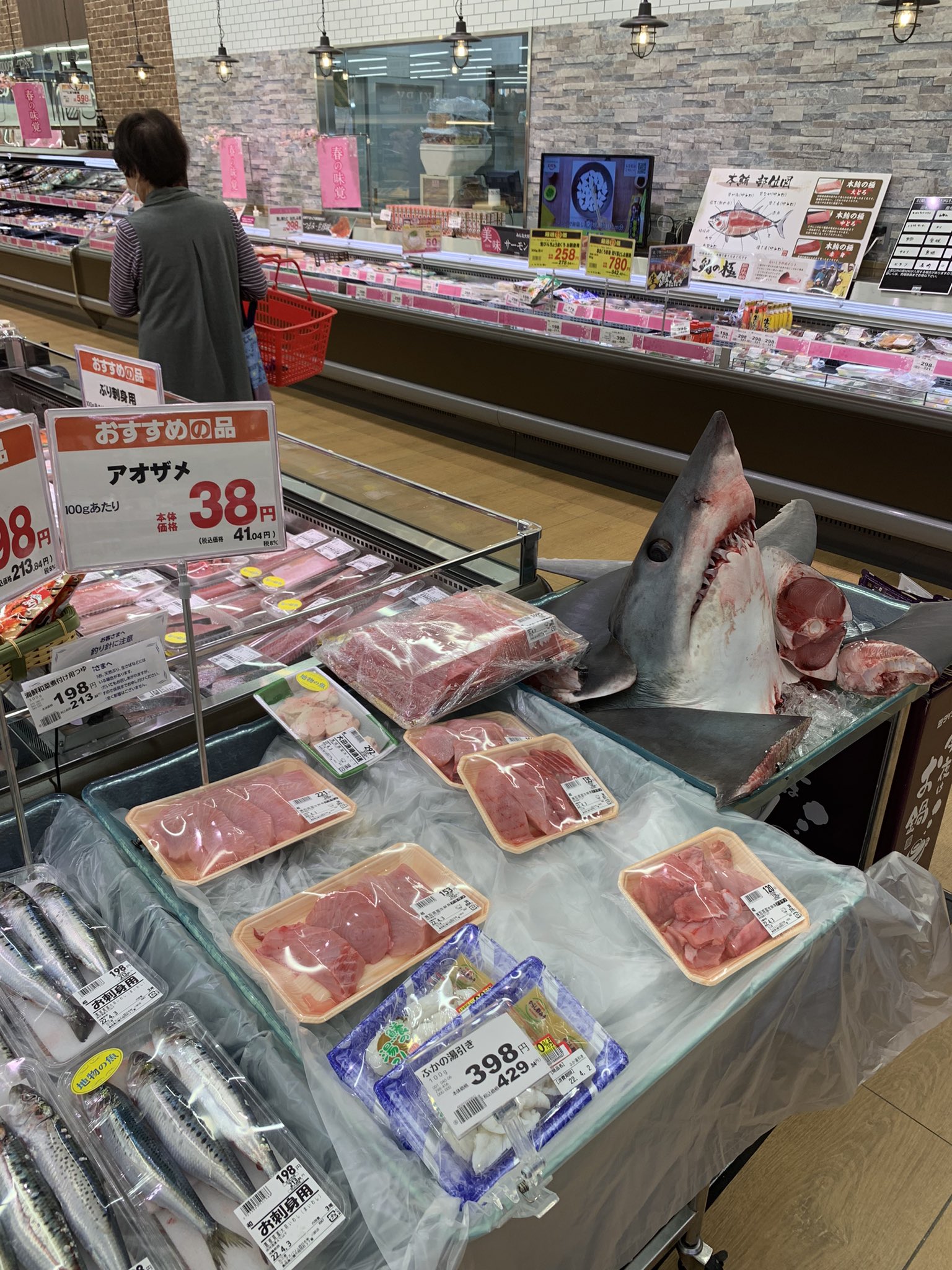 ปลาฉลาม