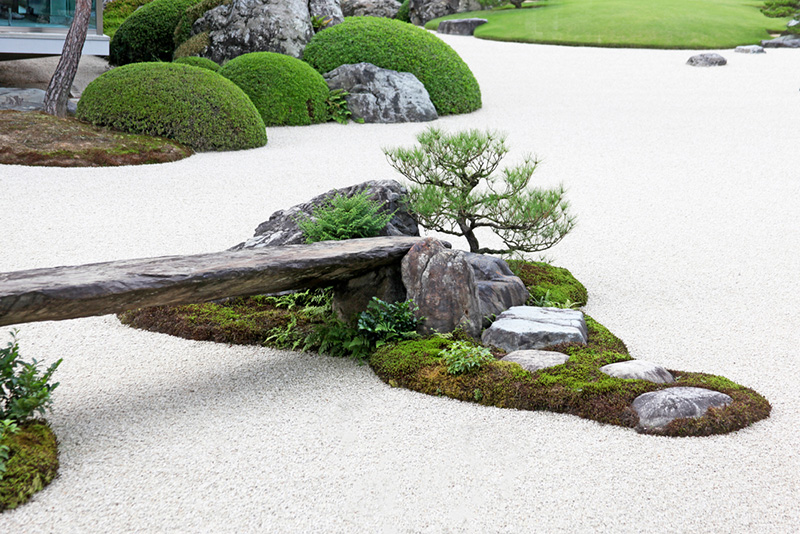 จัดสวนหิน