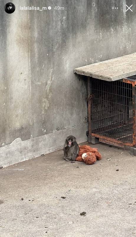 ลิซ่า ไปหาพันช์คุง