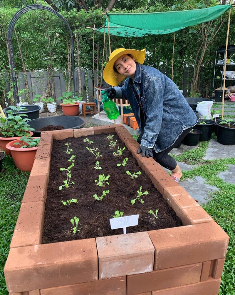 ตั๊ก บงกช