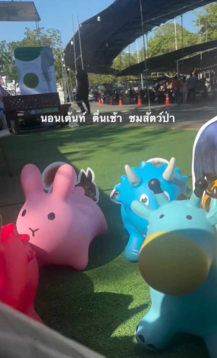 กางเต็นท์