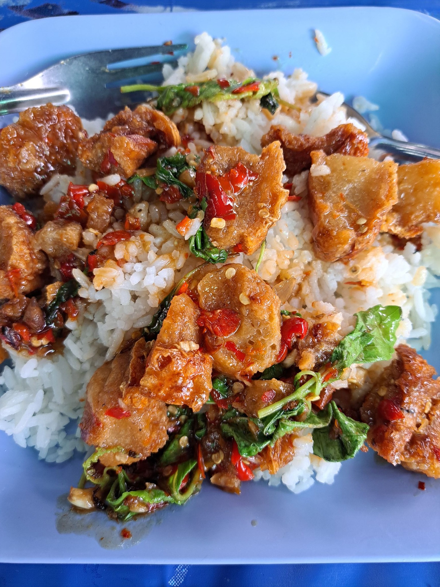 กะเพราหมูกรอบ