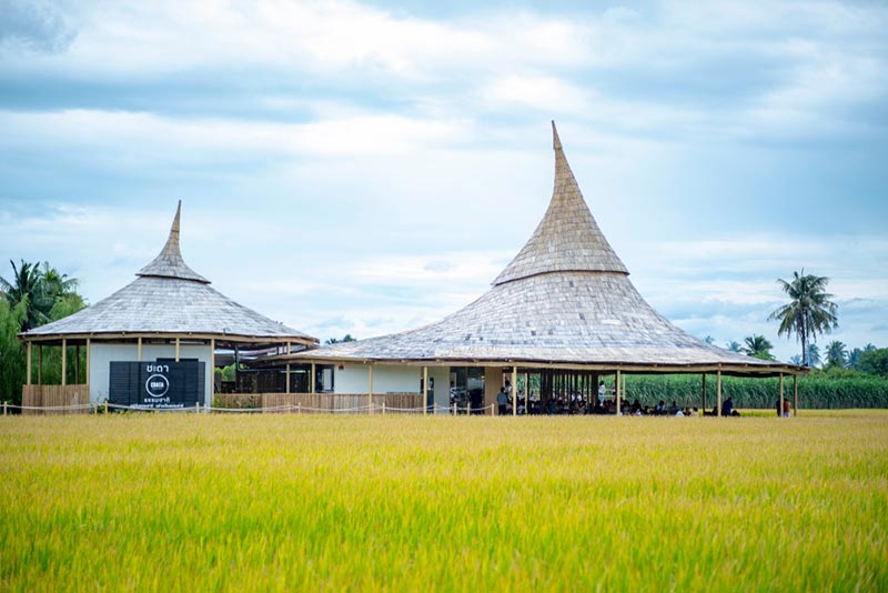 โครงการชิมช้อปใช้