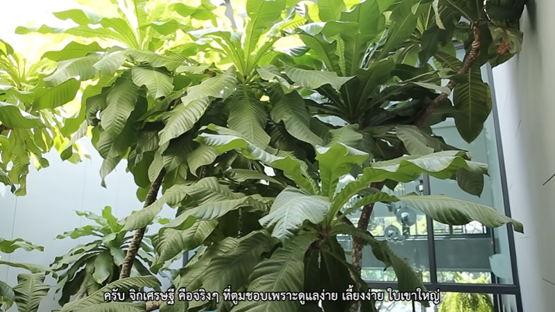 บ้านใหม่ ดีเจมะตูม เตชินท์