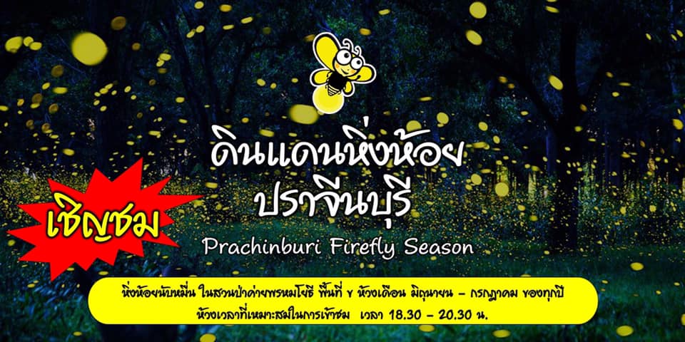 ดูหิ่งห้อย ปราจีนบุรี 2563