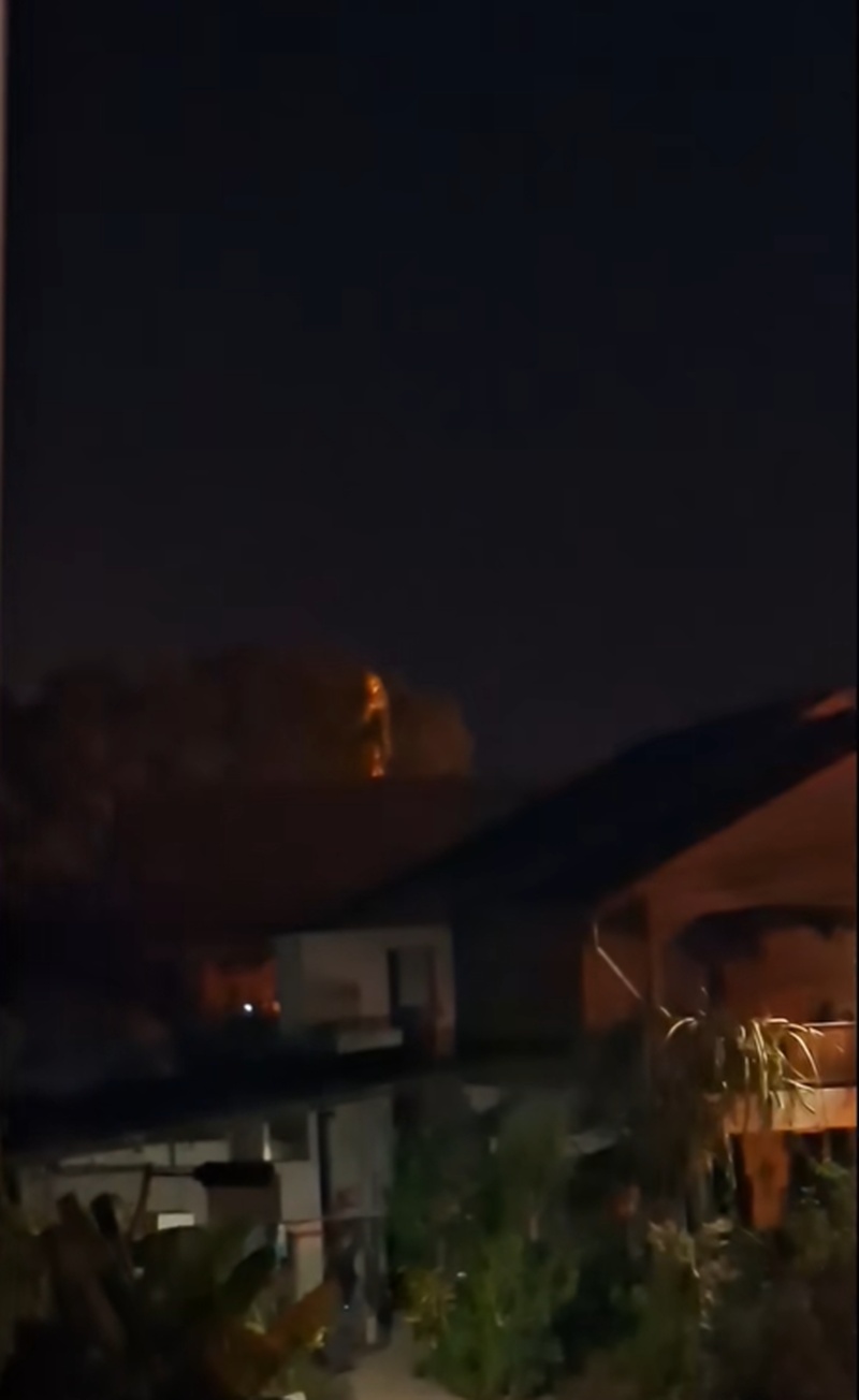 นกเค้าแมว