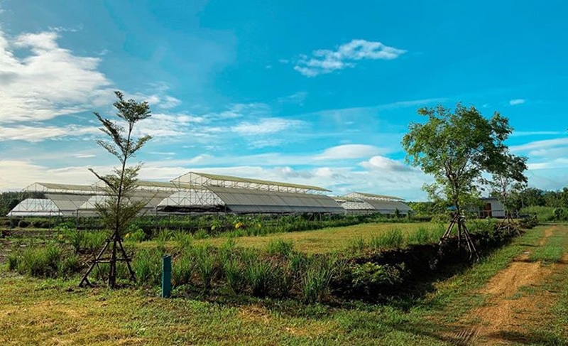 บ้านสวนดารา